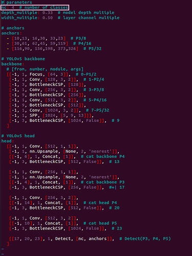 yolov5s.yaml