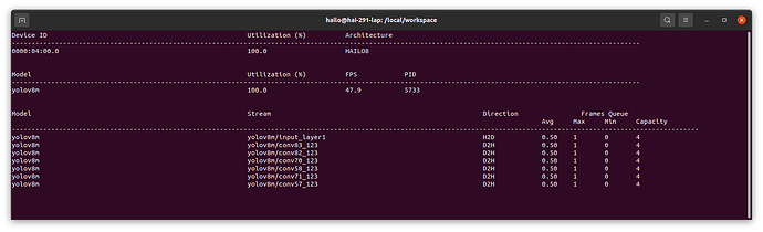 hailortcli monitor