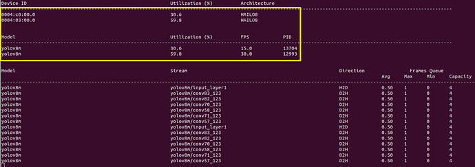 Mutil-Hailo-Chip-Running