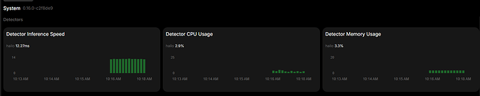 Detector Usage Frigate
