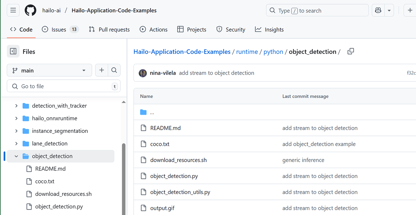 Configuring the environment on Raspberry Pi 5 to run the “Hailo ...