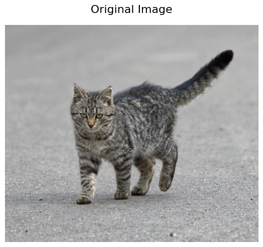 cat_original