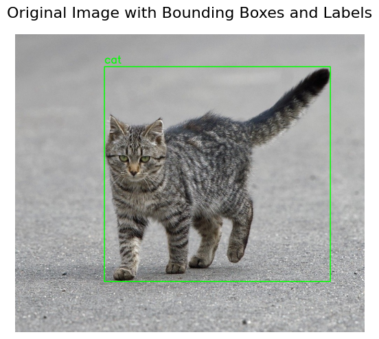 cat_overlay_original